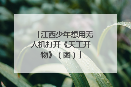 江西少年想用无人机打开《天工开物》（图）