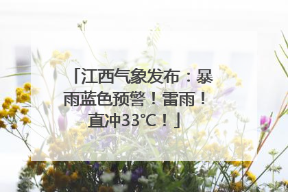 江西气象发布：暴雨蓝色预警！雷雨！直冲33℃！
