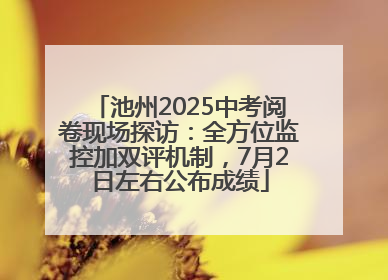 池州2025中考阅卷现场探访：全方位监控加双评机制，7月2日左右公布成绩