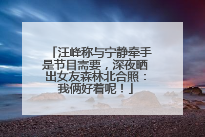 汪峰称与宁静牵手是节目需要，深夜晒出女友森林北合照：我俩好着呢！