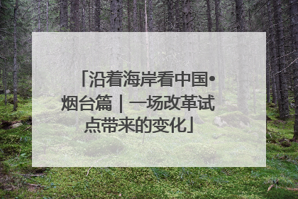 沿着海岸看中国•烟台篇｜一场改革试点带来的变化