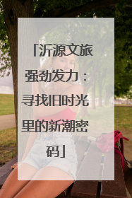 沂源文旅强劲发力：寻找旧时光里的新潮密码