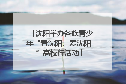 沈阳举办各族青少年“看沈阳、爱沈阳”高校行活动
