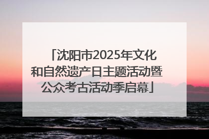 沈阳市2025年文化和自然遗产日主题活动暨公众考古活动季启幕