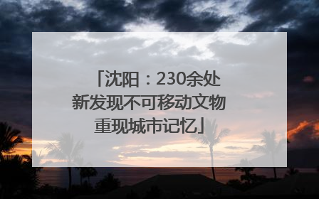沈阳：230余处新发现不可移动文物重现城市记忆