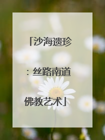 沙海遗珍：丝路南道佛教艺术