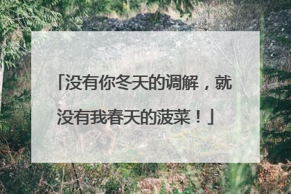 没有你冬天的调解，就没有我春天的菠菜！