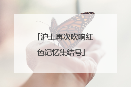沪上再次吹响红色记忆集结号