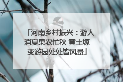 河南乡村振兴：游人消夏果农忙秋 黄土塬变游园处处皆风景