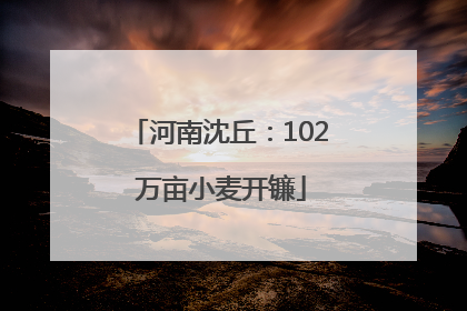 河南沈丘：102 万亩小麦开镰