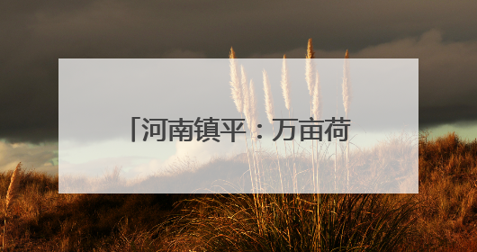 河南镇平：万亩荷花铺就乡村振兴路