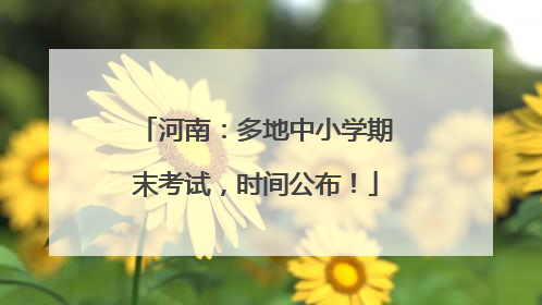 河南：多地中小学期末考试，时间公布！