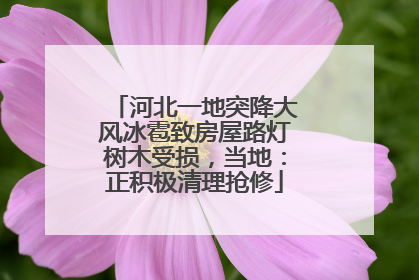 河北一地突降大风冰雹致房屋路灯树木受损，当地：正积极清理抢修