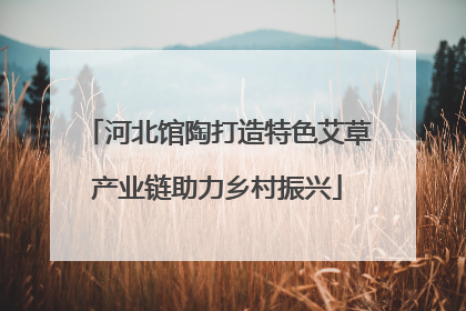 河北馆陶打造特色艾草产业链助力乡村振兴