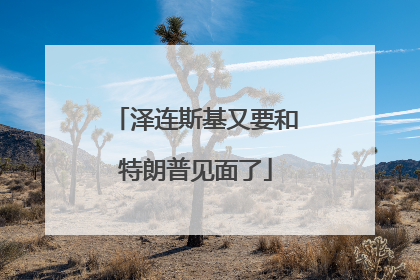 泽连斯基又要和特朗普见面了