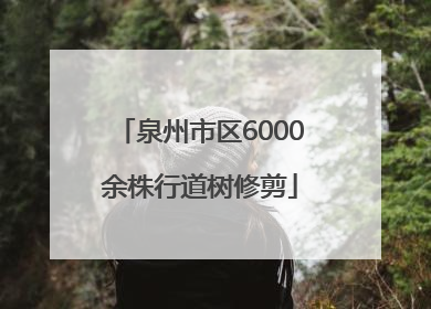 泉州市区6000余株行道树修剪