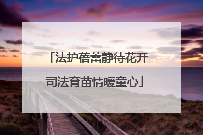 法护蓓蕾静待花开 司法育苗情暖童心