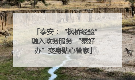 泰安：“枫桥经验”融入政务服务 “泰好办”变身贴心管家