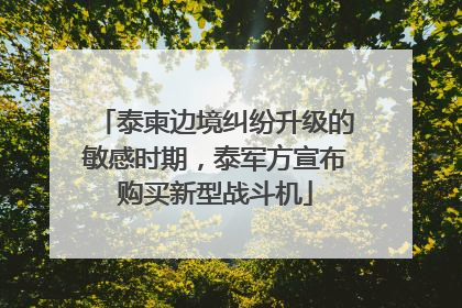 泰柬边境纠纷升级的敏感时期，泰军方宣布购买新型战斗机