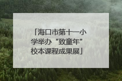 海口市第十一小学举办“致童年”校本课程成果展