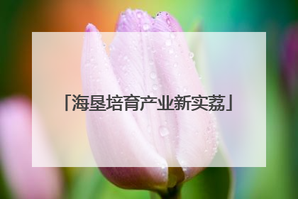 海垦培育产业新实荔