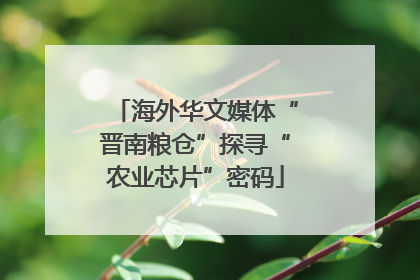 海外华文媒体“晋南粮仓”探寻“农业芯片”密码