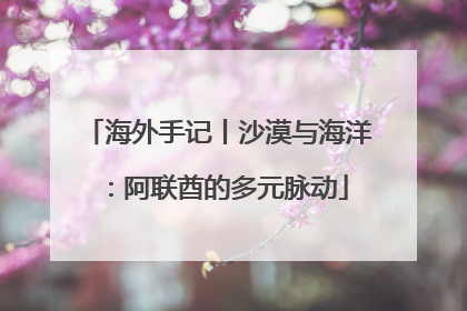 海外手记丨沙漠与海洋：阿联酋的多元脉动