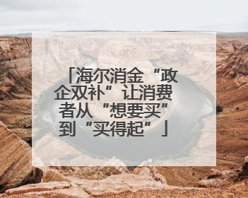 海尔消金“政企双补”让消费者从“想要买”到“买得起”