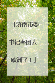 济南市委书记率团去欧洲了！