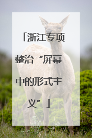 浙江专项整治“屏幕中的形式主义”