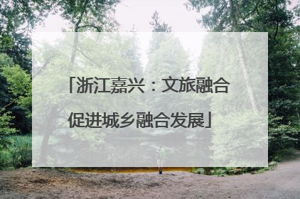 浙江嘉兴：文旅融合促进城乡融合发展