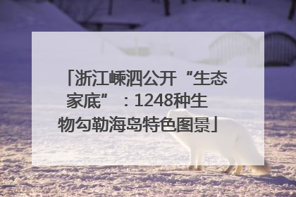 浙江嵊泗公开“生态家底”：1248种生物勾勒海岛特色图景