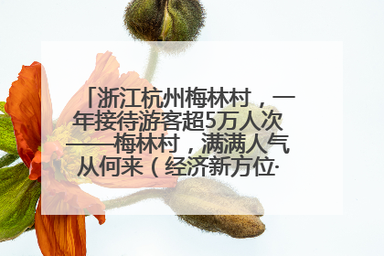 浙江杭州梅林村，一年接待游客超5万人次——梅林村，满满人气从何来（经济新方位·农村消费观察）