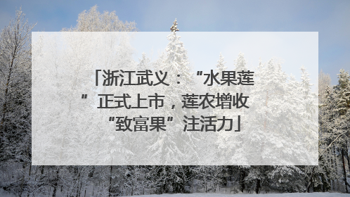 浙江武义：“水果莲”正式上市，莲农增收“致富果”注活力