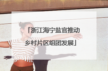 浙江海宁盐官推动乡村片区组团发展