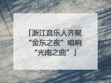 浙江音乐人齐聚“金东之夜”唱响“光南之曲”
