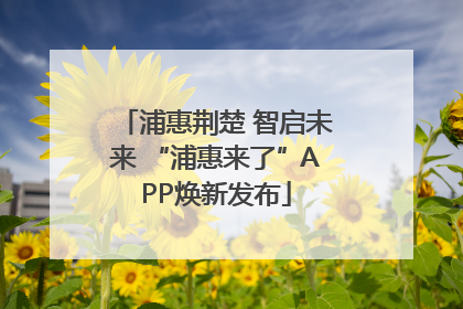 浦惠荆楚 智启未来 “浦惠来了”APP焕新发布