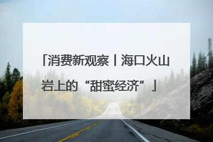 消费新观察丨海口火山岩上的“甜蜜经济”
