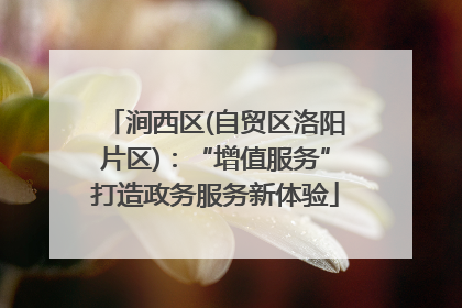 涧西区(自贸区洛阳片区)：“增值服务”打造政务服务新体验