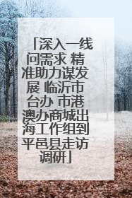 深入一线问需求 精准助力谋发展 临沂市台办 市港澳办商城出海工作组到平邑县走访调研