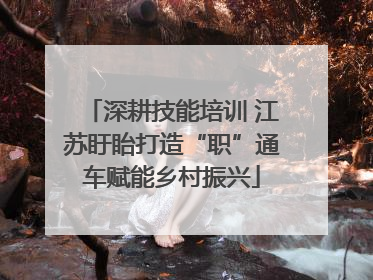 深耕技能培训 江苏盱眙打造“职”通车赋能乡村振兴