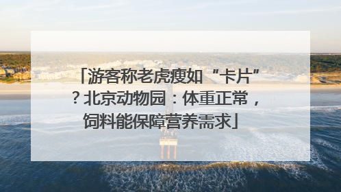 游客称老虎瘦如“卡片”？北京动物园：体重正常，饲料能保障营养需求