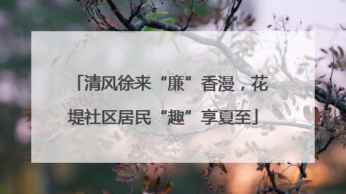 清风徐来“廉”香漫，花堤社区居民“趣”享夏至
