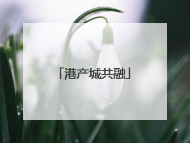 港产城共融