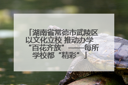 湖南省常德市武陵区以文化立校 推动办学“百花齐放”——每所学校都“精彩”
