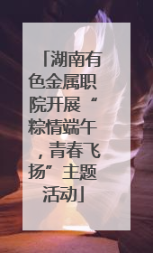 湖南有色金属职院开展“粽情端午，青春飞扬”主题活动