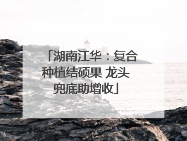 湖南江华：复合种植结硕果 龙头兜底助增收