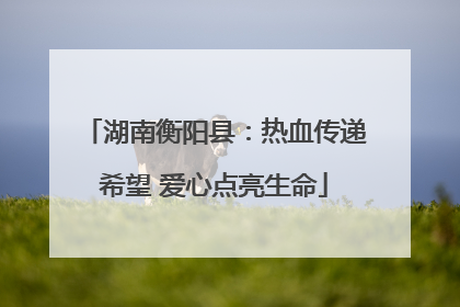 湖南衡阳县：热血传递希望 爱心点亮生命