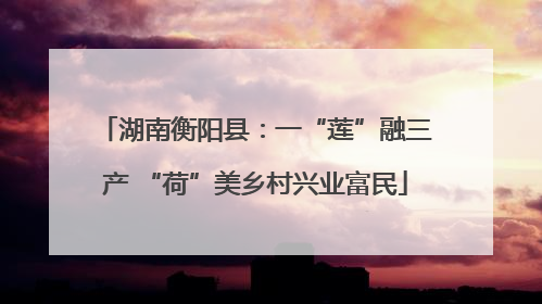 湖南衡阳县：一“莲”融三产 “荷”美乡村兴业富民