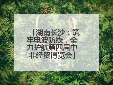 湖南长沙：筑牢电波防线，全力护航第四届中非经贸博览会